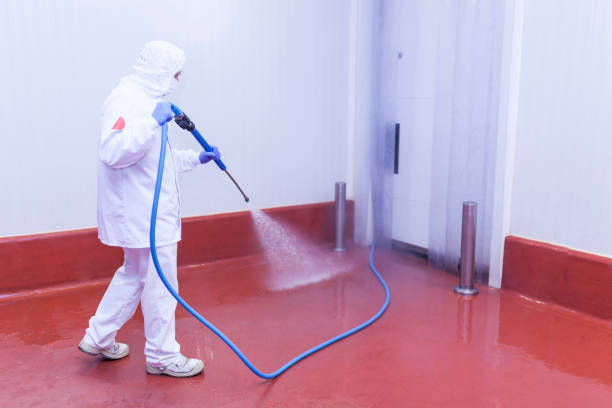 Paint Preparation in East Lexington, VA