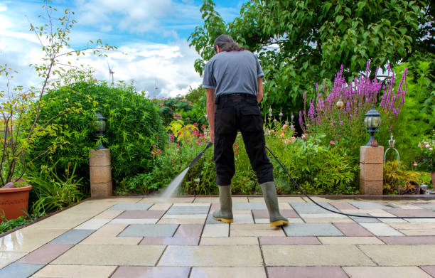 Best Sidewalk and Walkway Cleaning  in East Lexington, VA