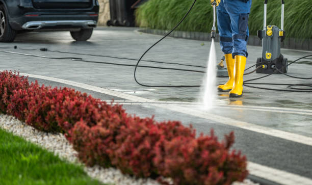 Best Playground Equipment Cleaning  in East Lexington, VA